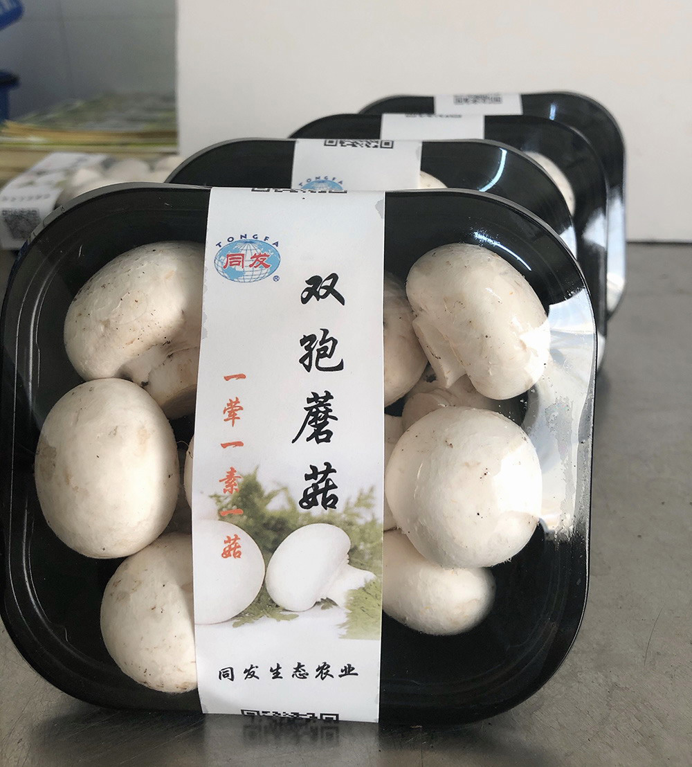 亚洲必赢